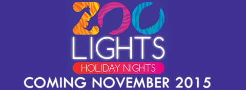 Zoo Lights Holiday Nights – San Antonio Zoo