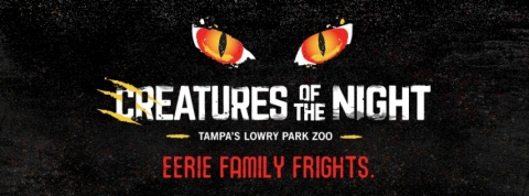 Tampa’s Lowry Park Zoo – Creatures of the Night!