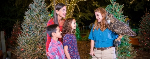 Tampa’s Lowry Park Zoo – Christmas In The Wild