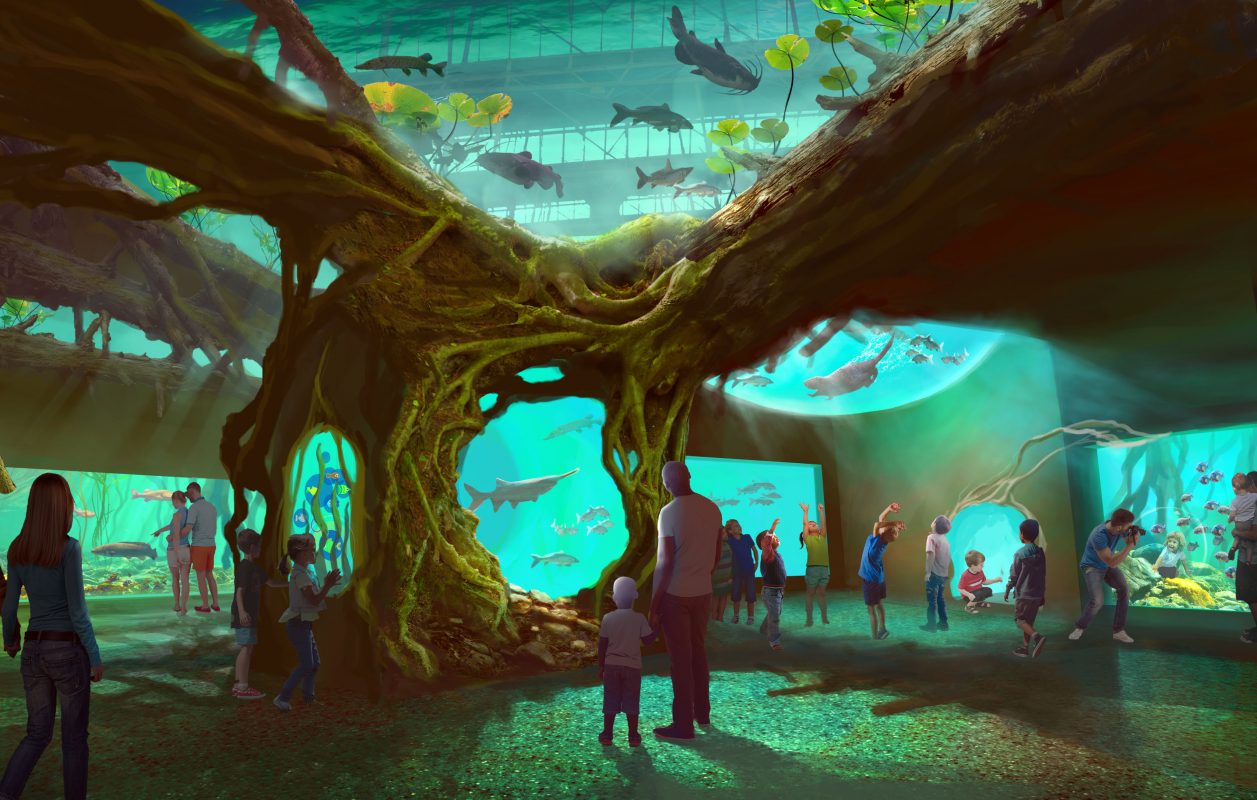 St. Louis Aquarium at Union Station – Coming Soon