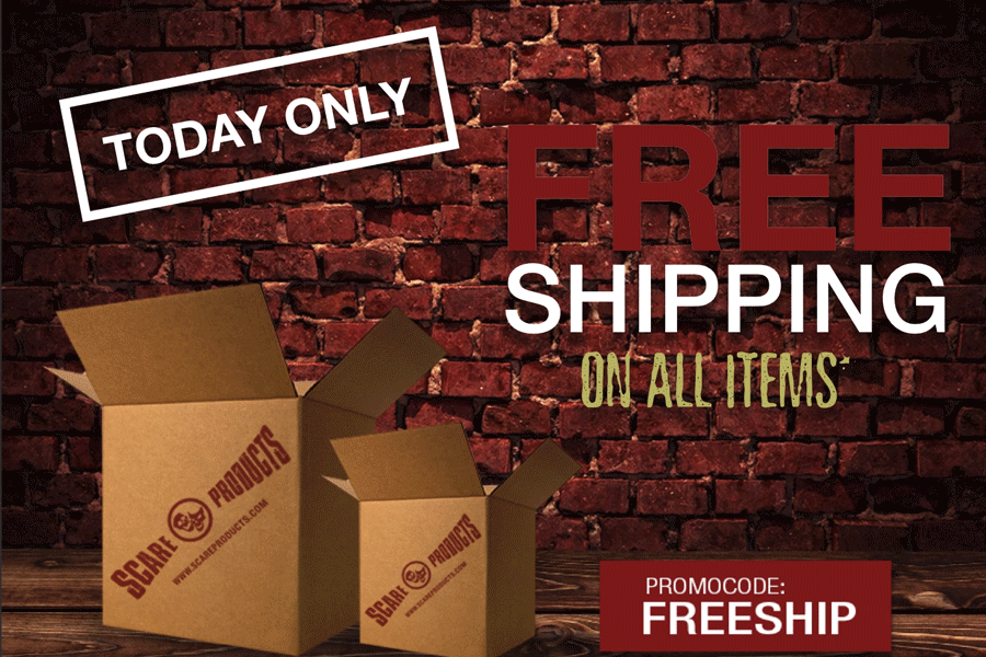 Free Shipping Friday has Arrived!!